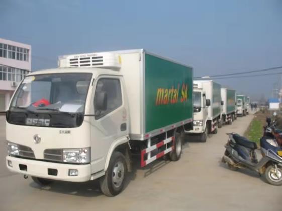 Dongfeng 4x2 3-5ton refrigerator van truck