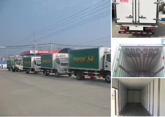 Dongfeng 4x2 3-5ton refrigerator van truck