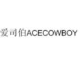 Jinhua Acecowboy Co., Ltd.