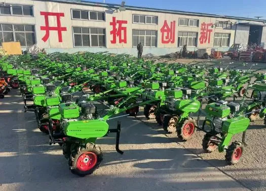 Shandong Liying Agricultural Technology Development Co., Ltd.